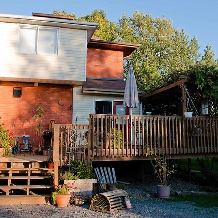 Homestead House B&B Hamilton Exterior photo