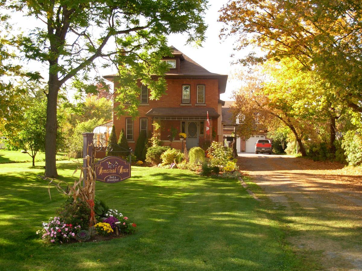 Homestead House B&B Hamilton Exterior photo